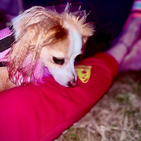 Meet your Posher, Kristin - Picture 9 of 14